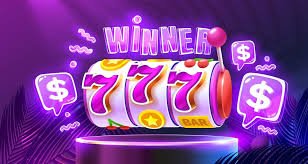 7m vn cn