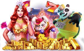 7m vn cn